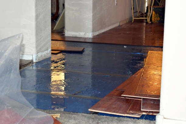 Professional Burst Pipe Cleanup technician working in Algoma, WI